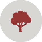 Fomentar la realización de proyectos